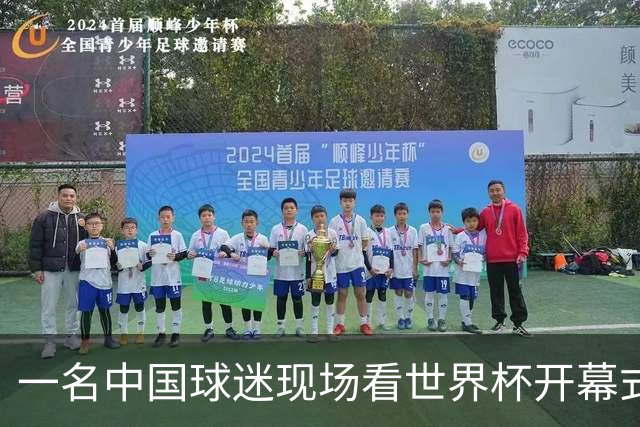 一名中国球迷现场看世界杯开幕式“破防”：要是有我们的球队该多好